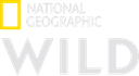 National Geographic Wild