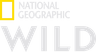 National Geographic Wild